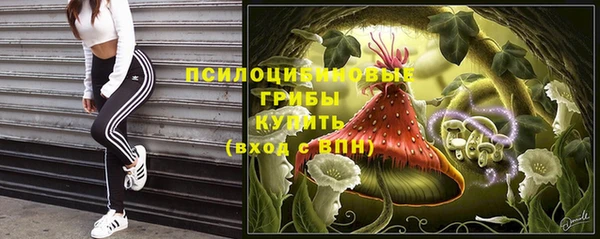 эйфоретик Каменногорск